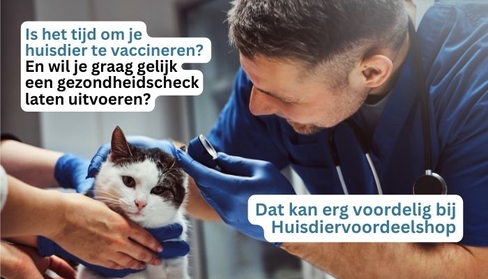 Afspraak dierenarts Goedkope dierenarts voor vaccinaties of een gezondheidscheck.