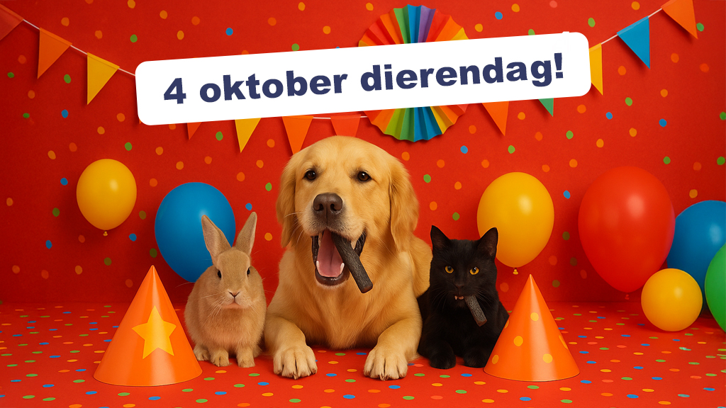 4 oktober dierendag bij huisdiervoordeelshop.