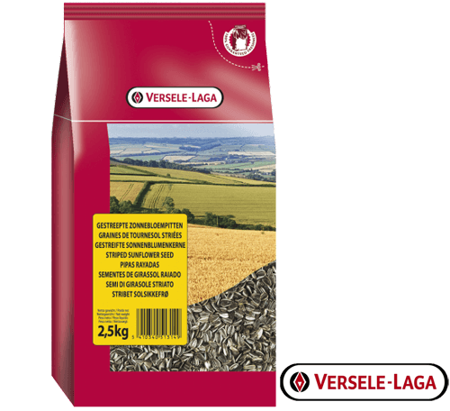 goedkoop-gestreepte-zonnebloempitten-2500-gram