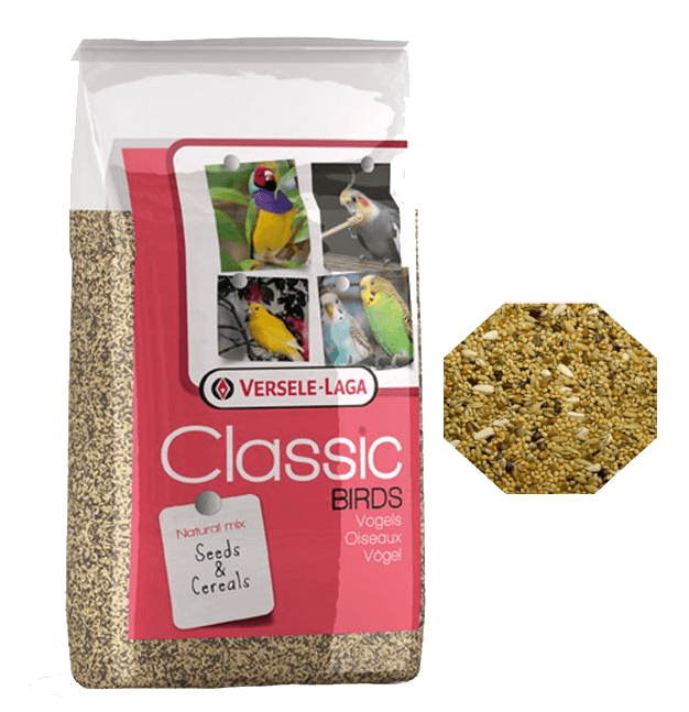 goedkope-grote-parkieten-zaad