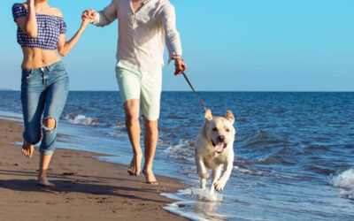 Ben jij klaar voor de vakantie?