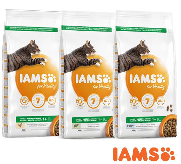 iams cat adult 10 kg - Huisdiervoordeelshop, de goedkope dierenwinkel. goedkoop-iams-kattenvoeding-10kg