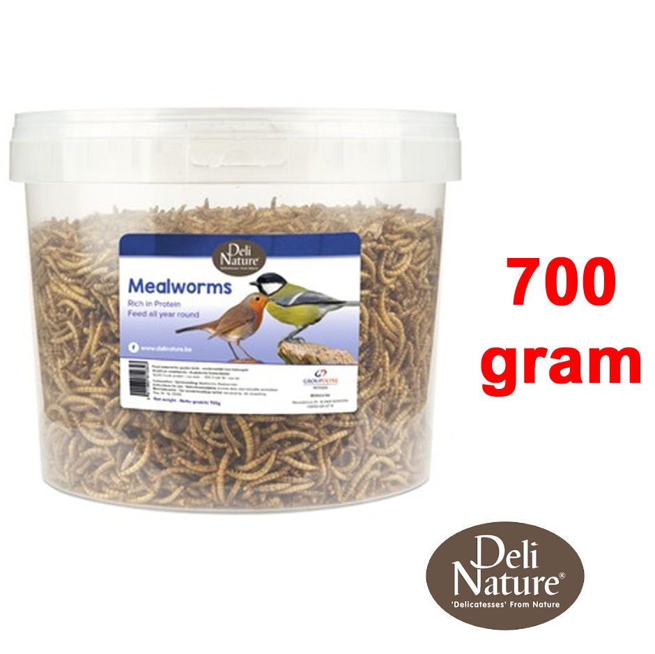 emmer-meelwormen-dn-greenline-aanbieding-atie