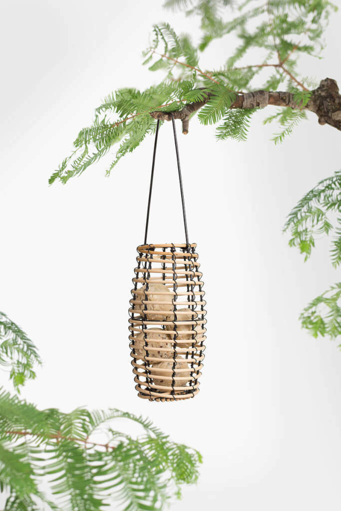 goedkoop-singing-friend-faya