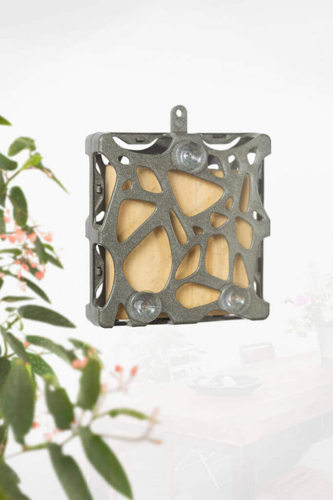 goedkoop-singing-friend-buitenvogel-vetblokhouder-anna-raam