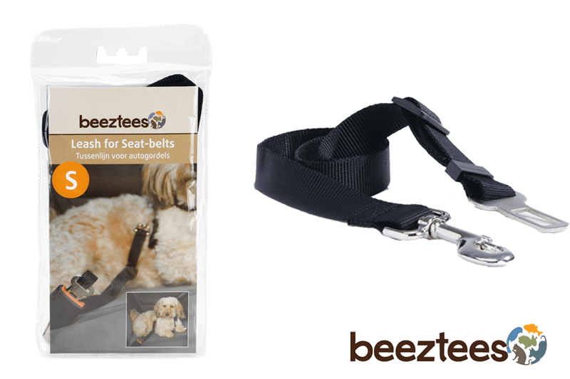 goedkoop-tussenlijn-autogordel-auto